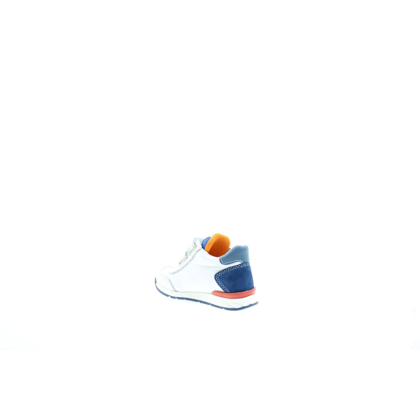 Falcotto SNEAKERS Azzurro