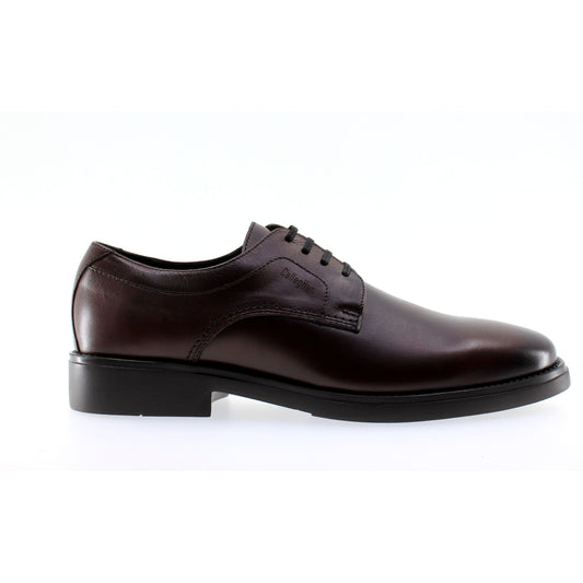 Callaghan DERBY Cuoio