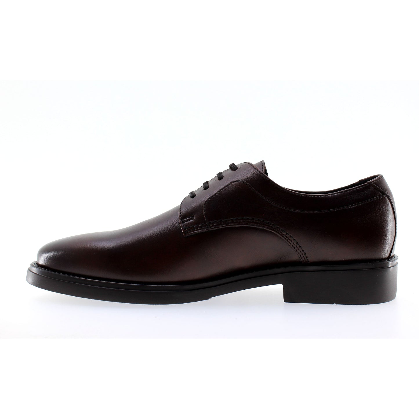 Callaghan DERBY Cuoio