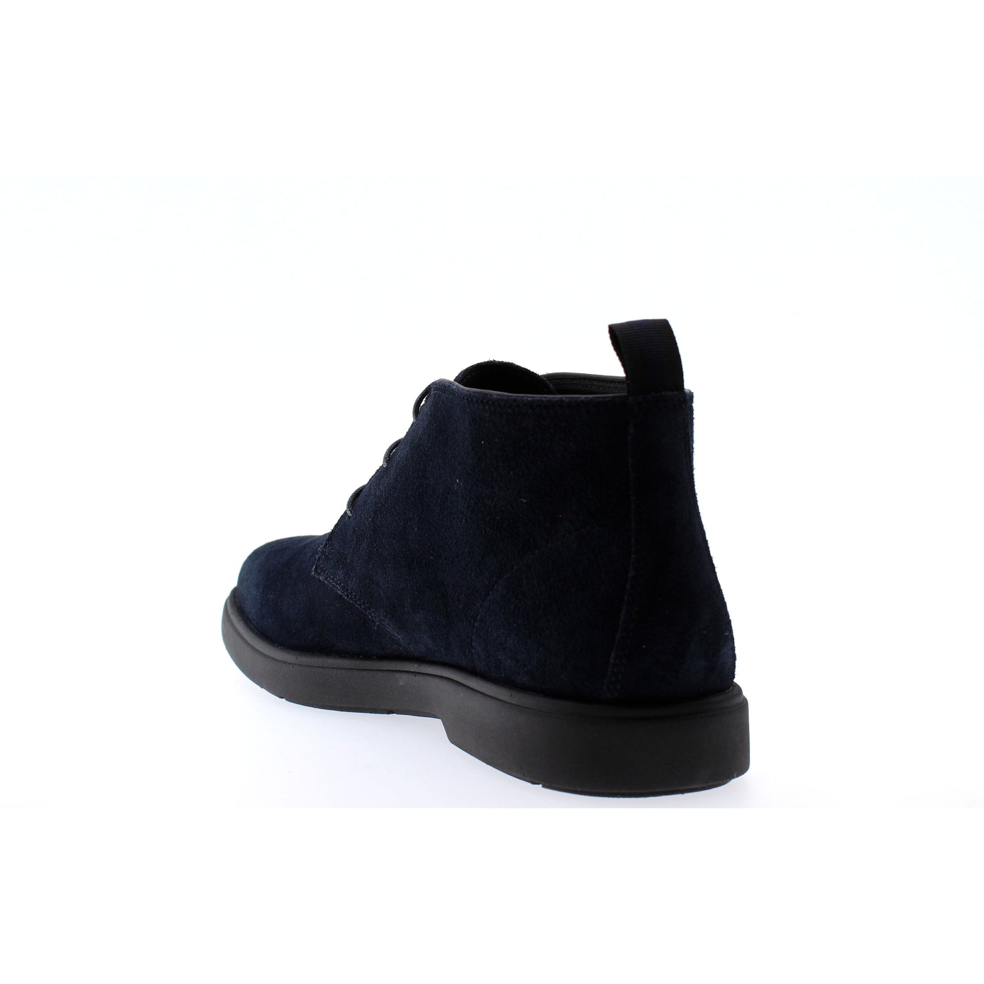 Geox POLACCHINO Blu