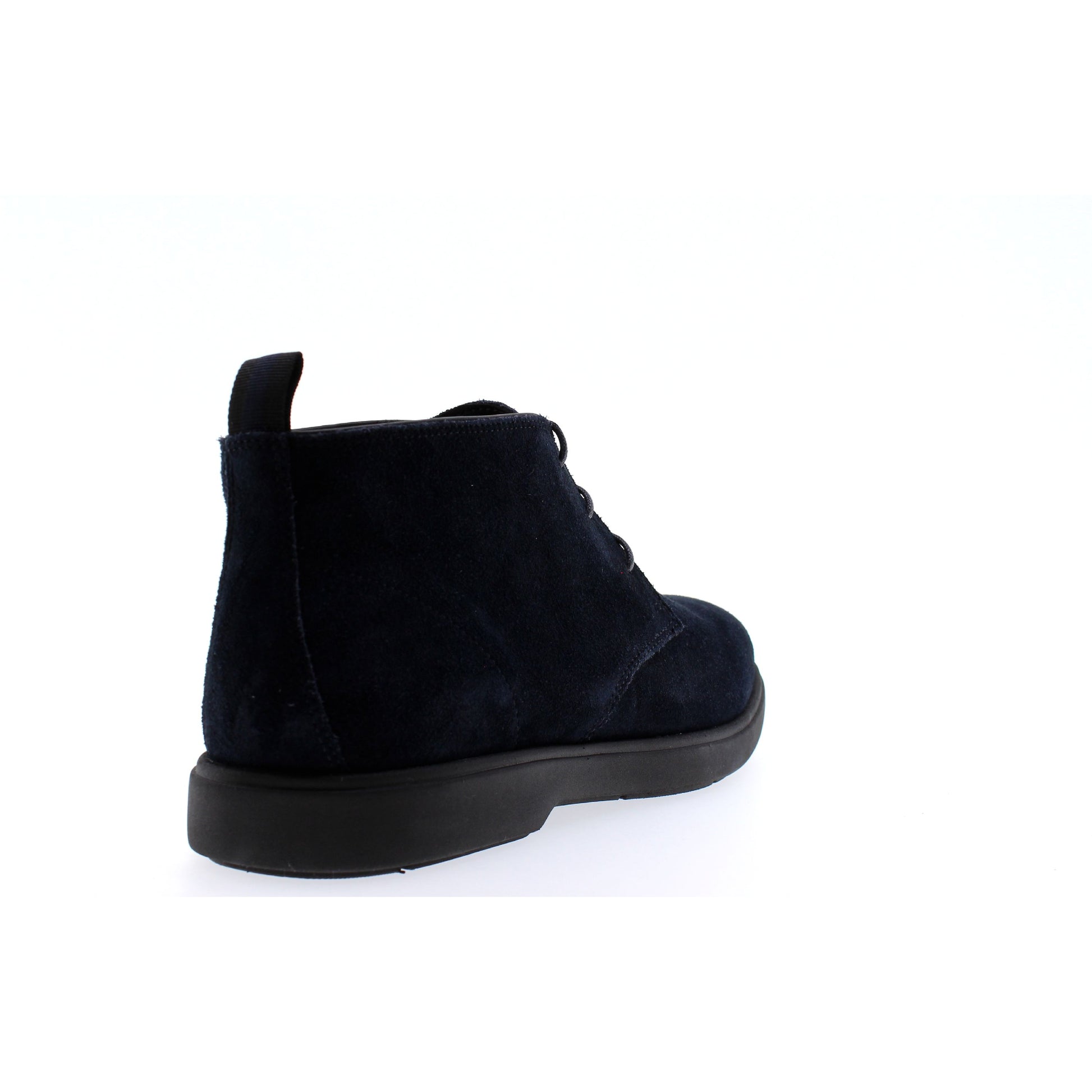 Geox POLACCHINO Blu