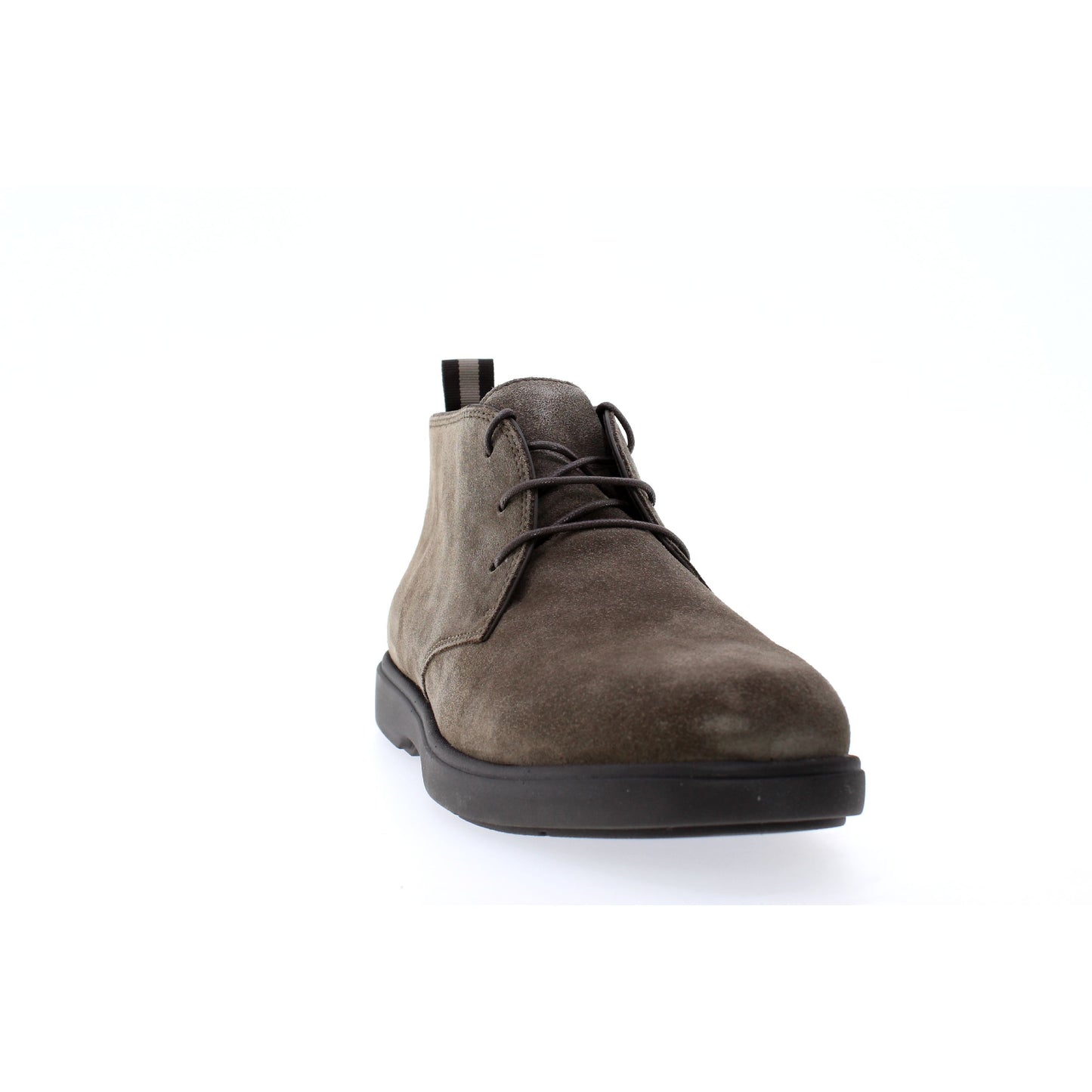 Geox POLACCHINO Grigio