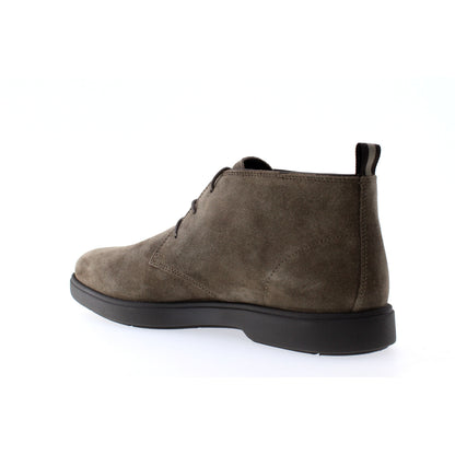 Geox POLACCHINO Grigio