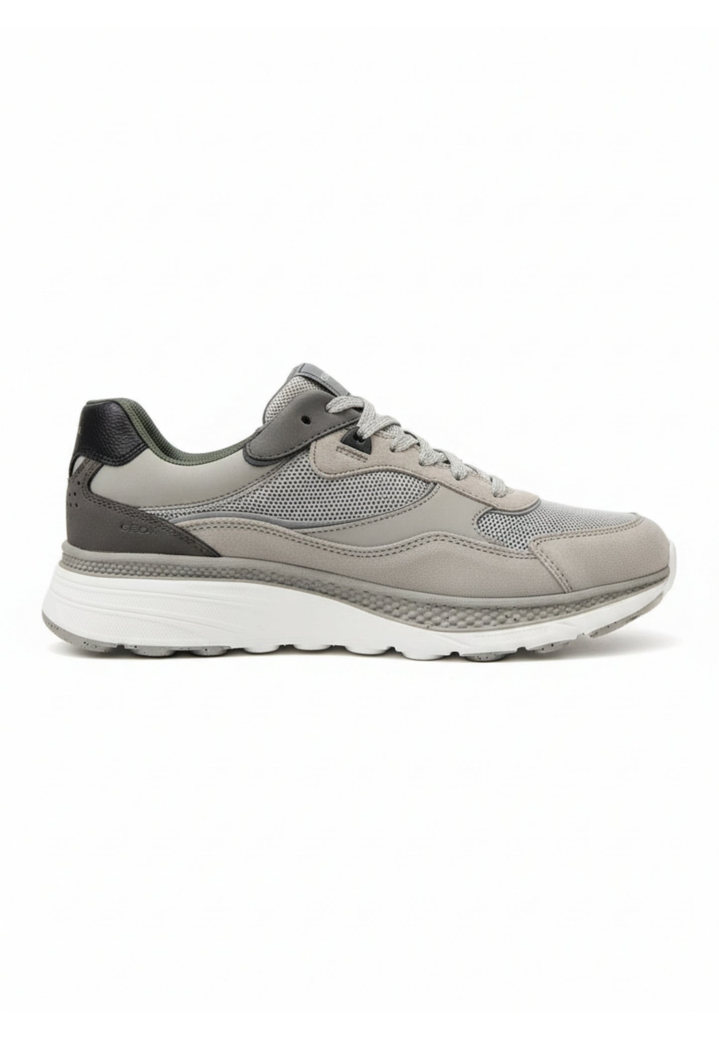Geox SNEAKERS Grigio