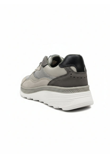 Geox SNEAKERS Grigio
