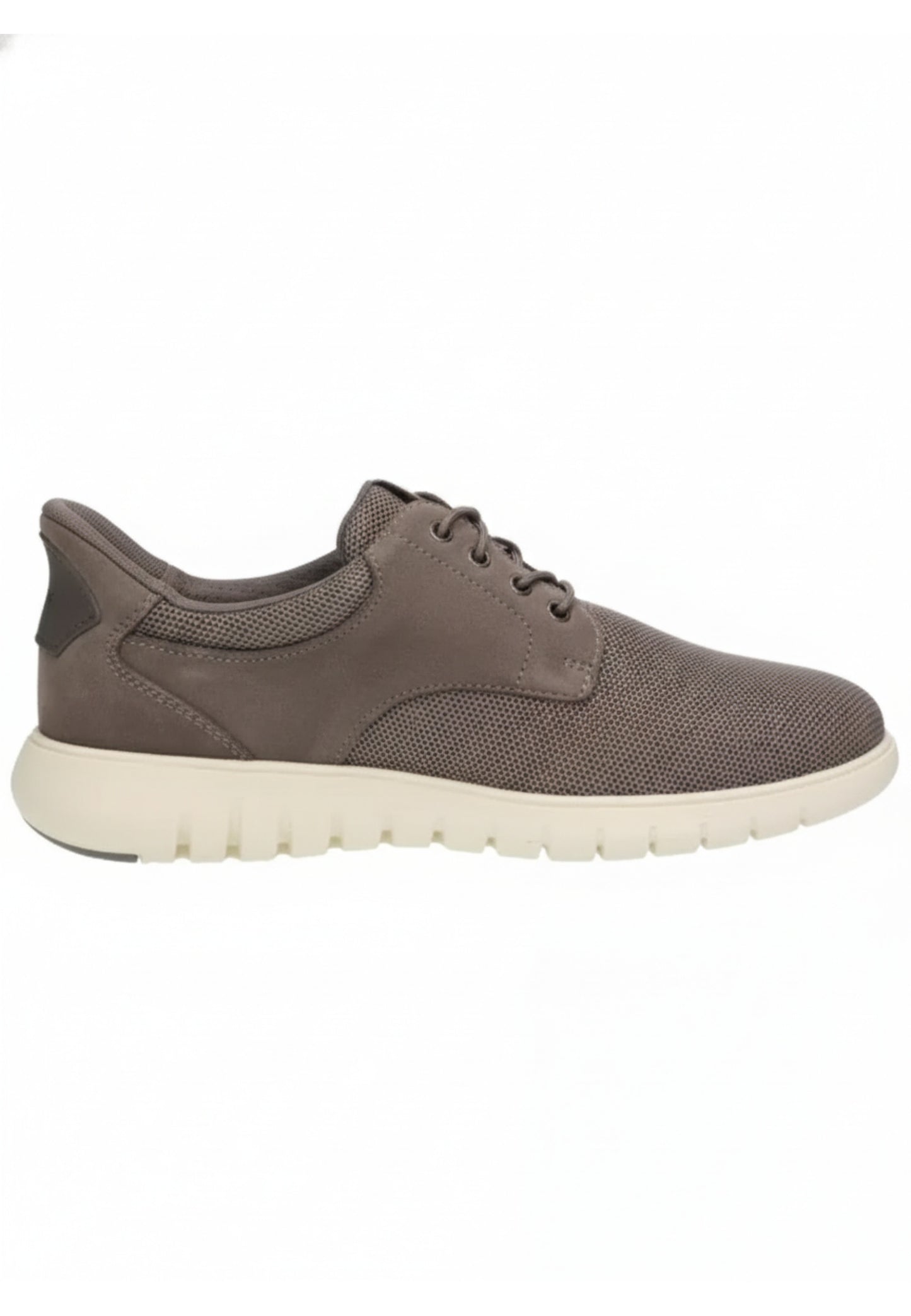 Geox SNEAKERS Grigio