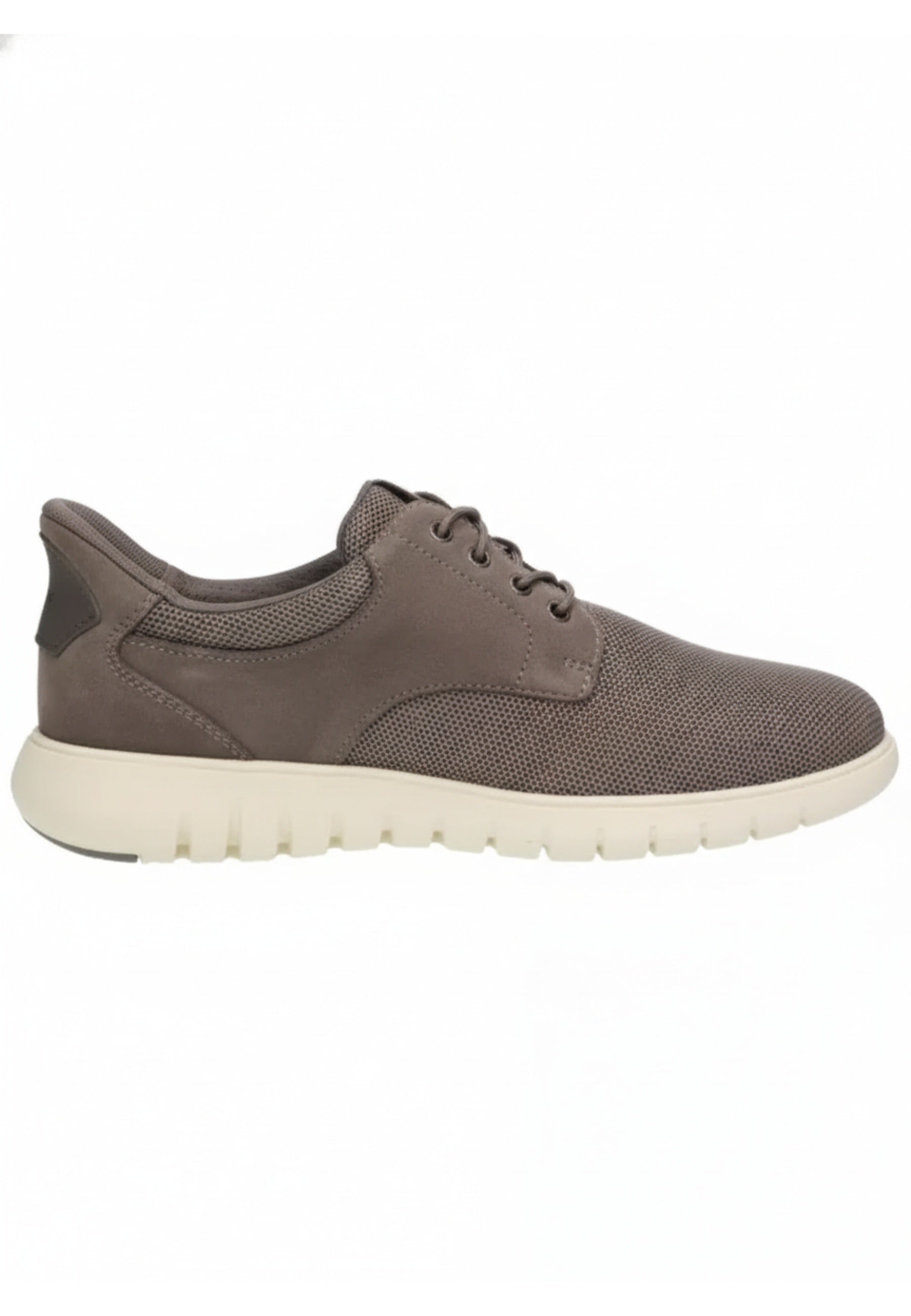 Geox SNEAKERS Grigio