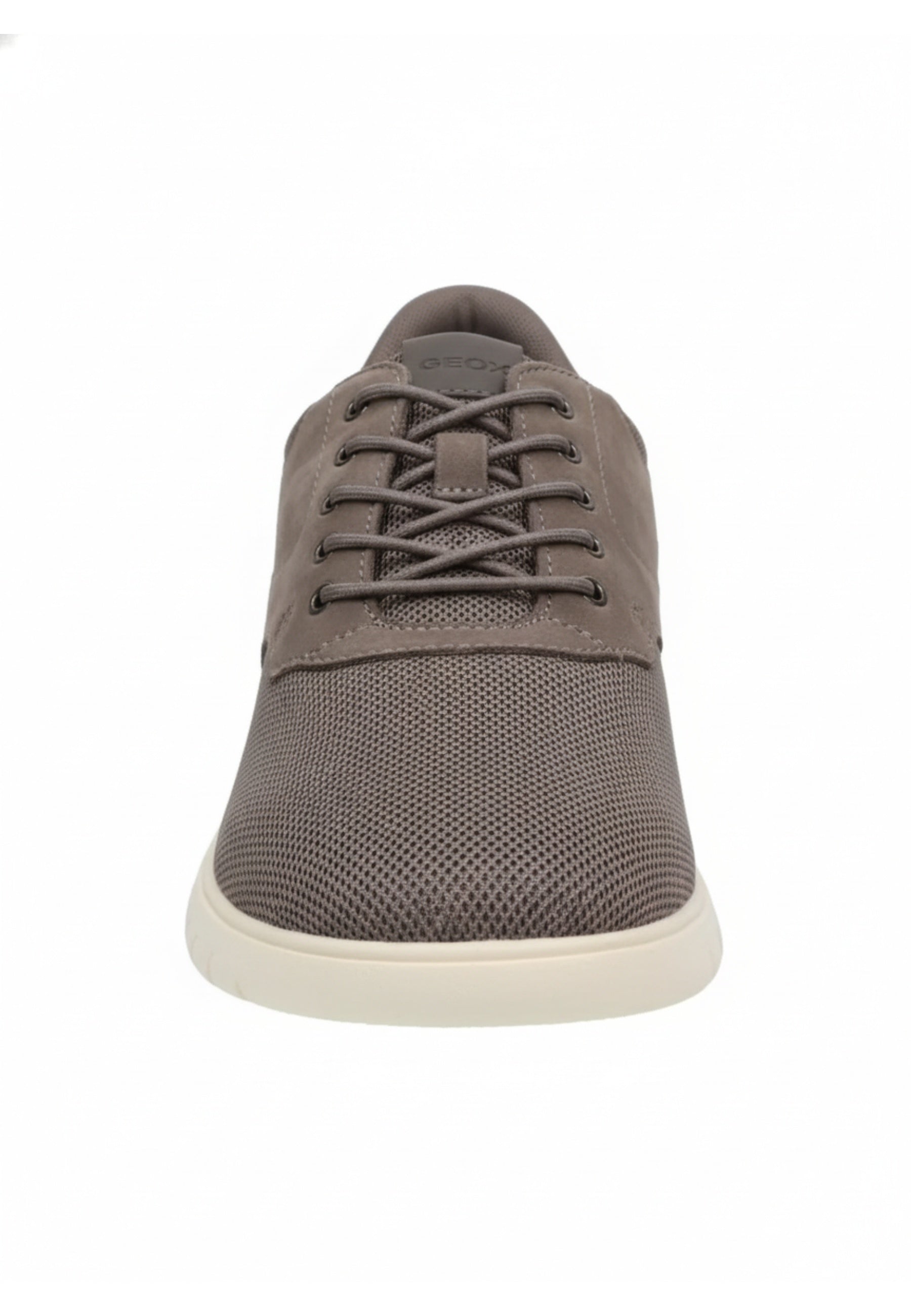 Geox SNEAKERS Grigio