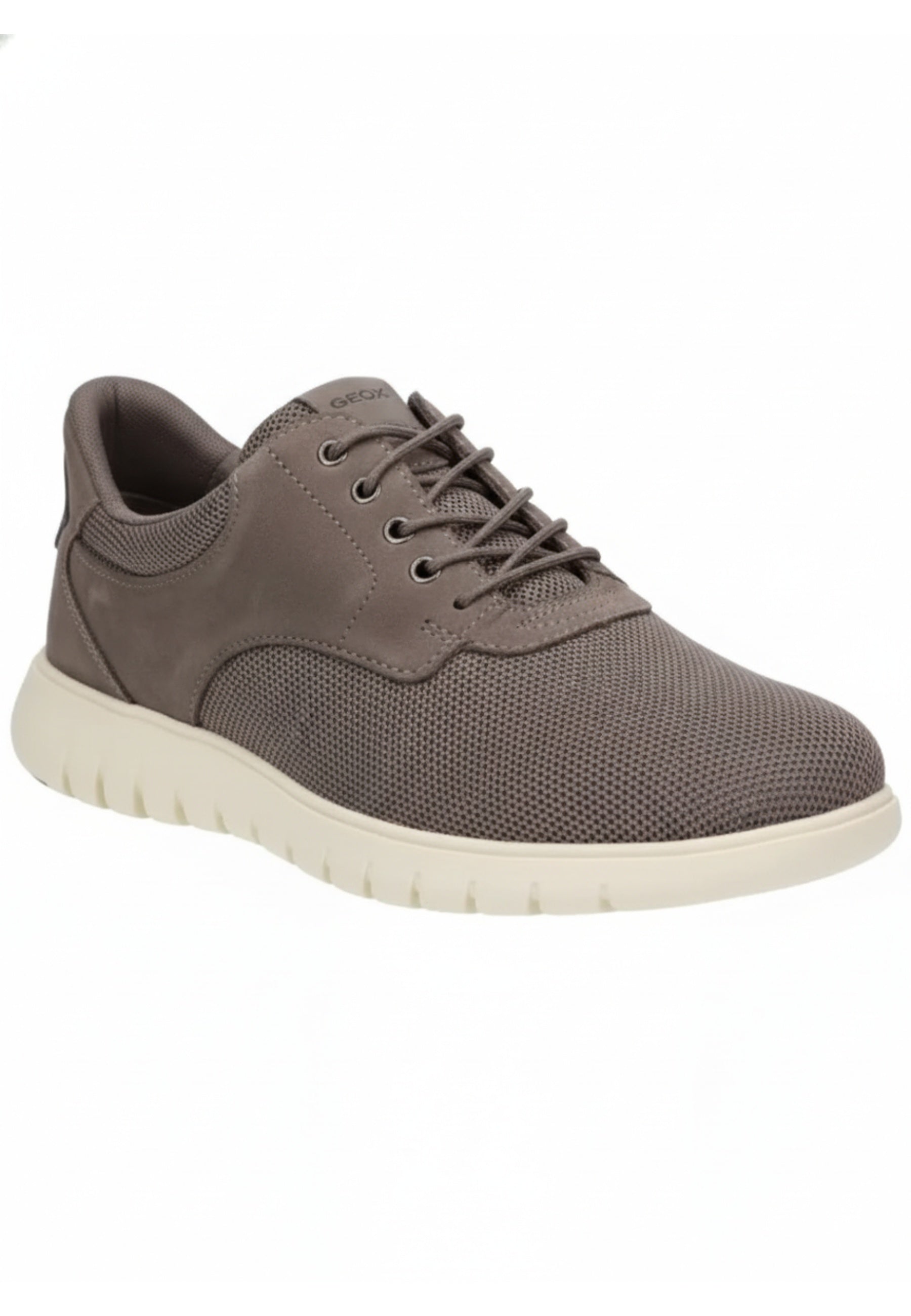 Geox SNEAKERS Grigio