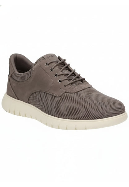 Geox SNEAKERS Grigio