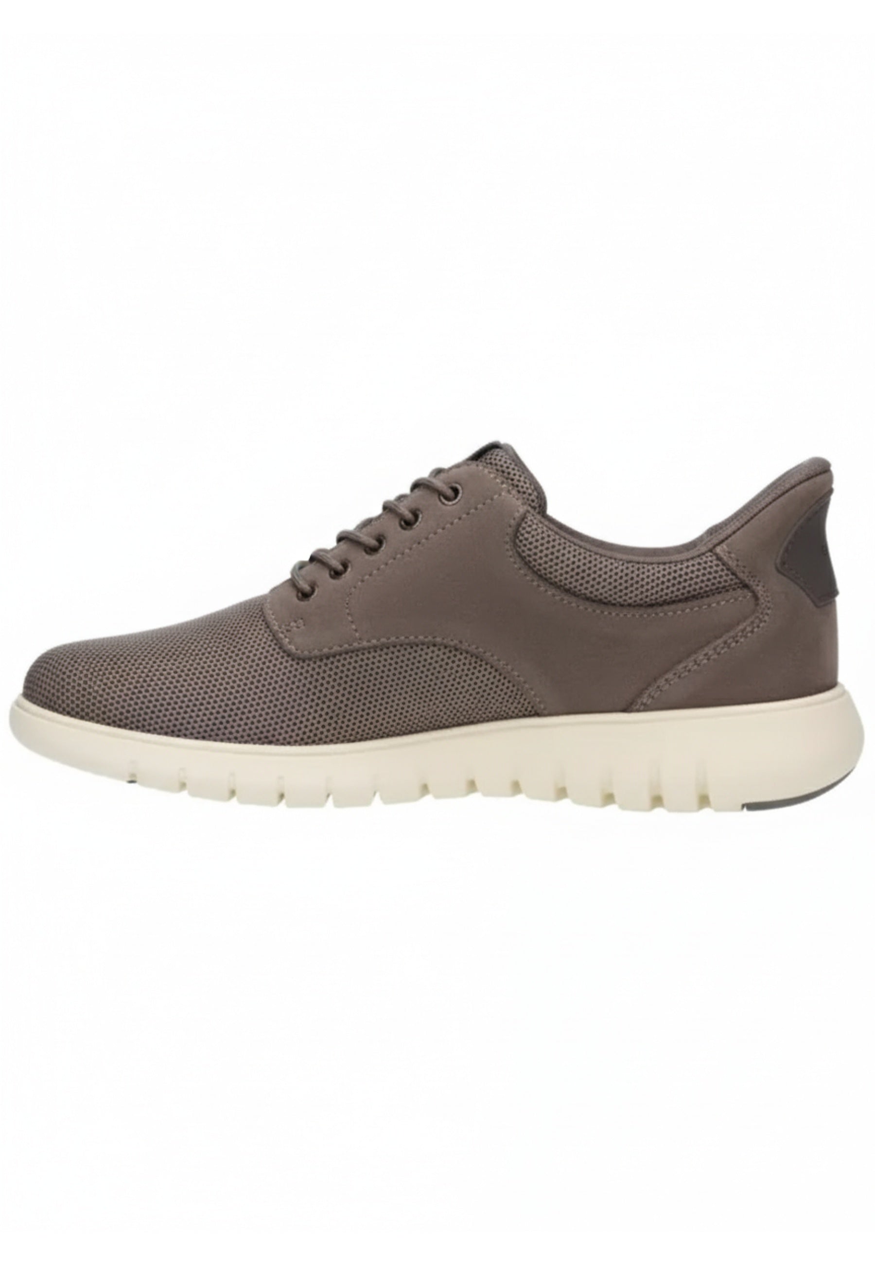 Geox SNEAKERS Grigio