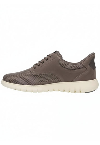 Geox SNEAKERS Grigio
