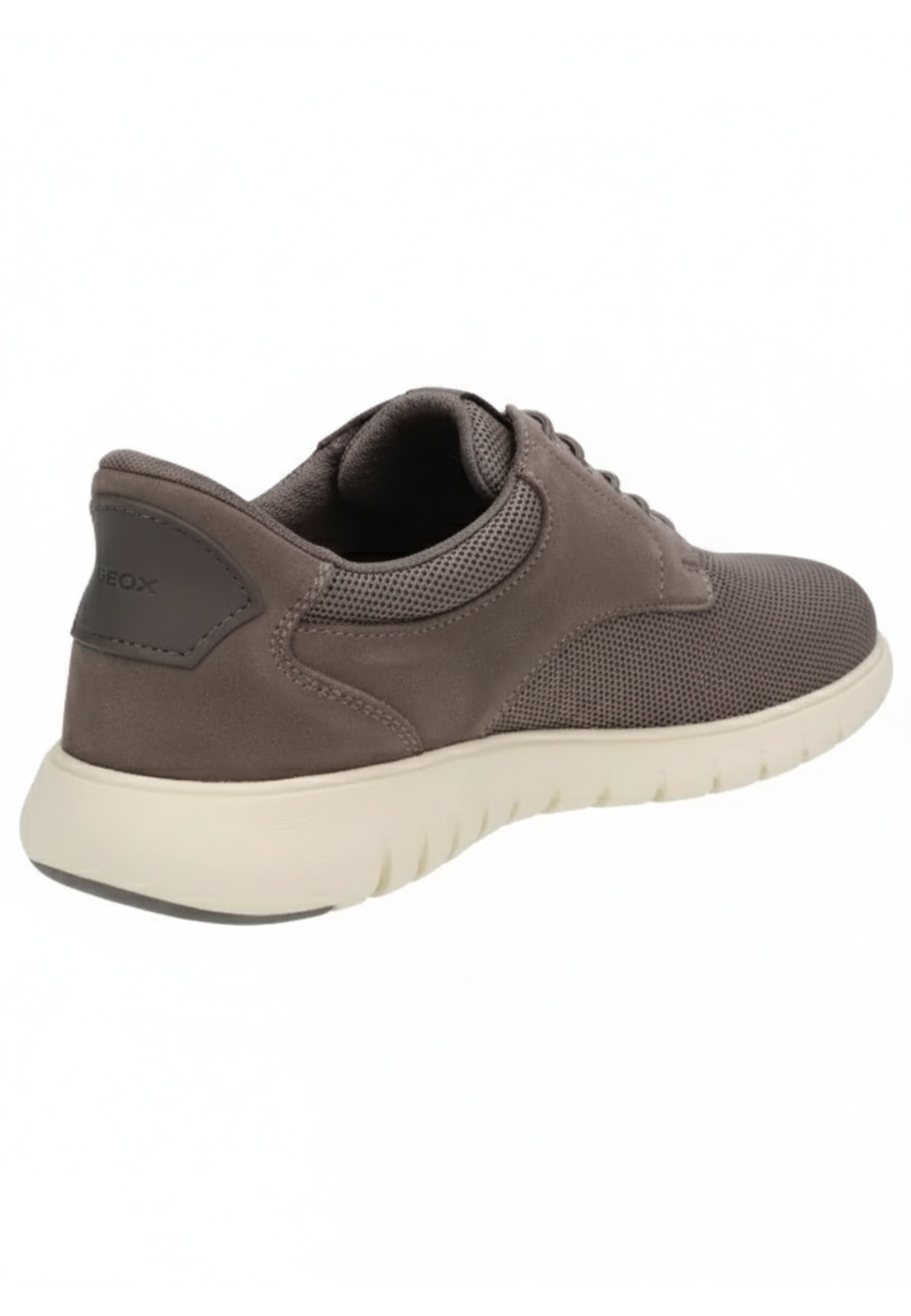 Geox SNEAKERS Grigio