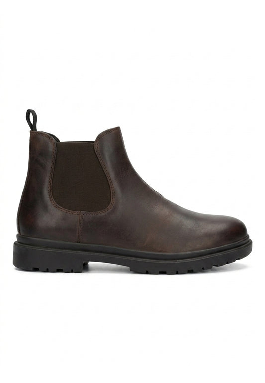 Geox BEATLES Marrone