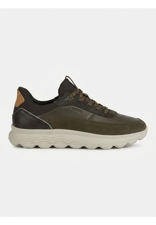 Geox SNEAKERS T.moro