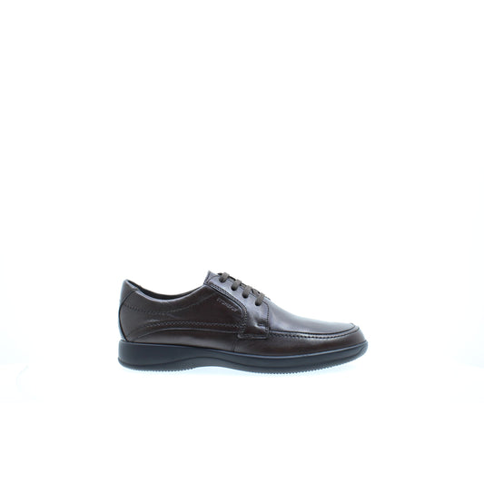 Stonefly SNEAKERS Marrone