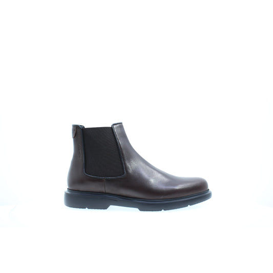 Stonefly BEATLES Marrone