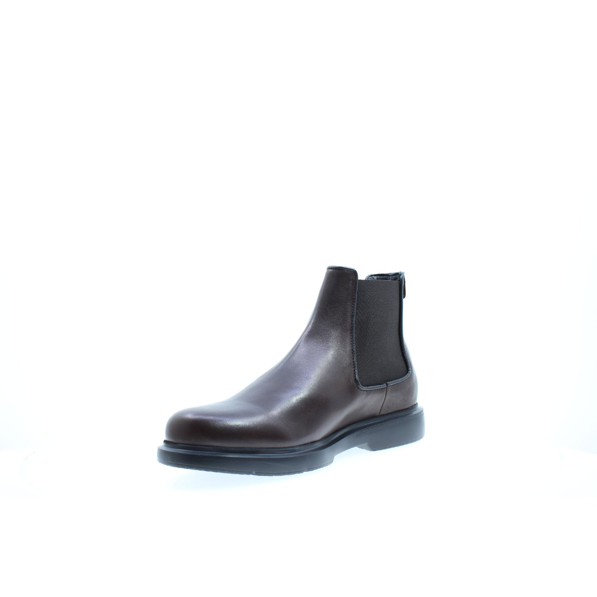 Stonefly BEATLES Marrone