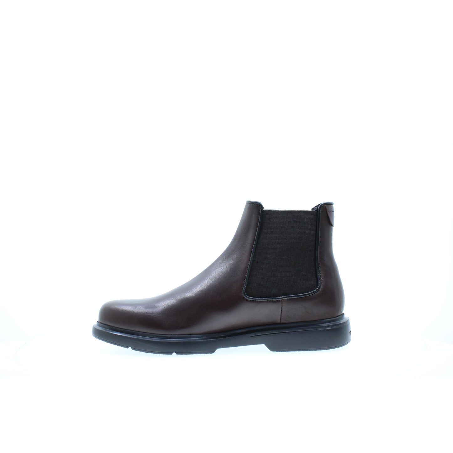 Stonefly BEATLES Marrone