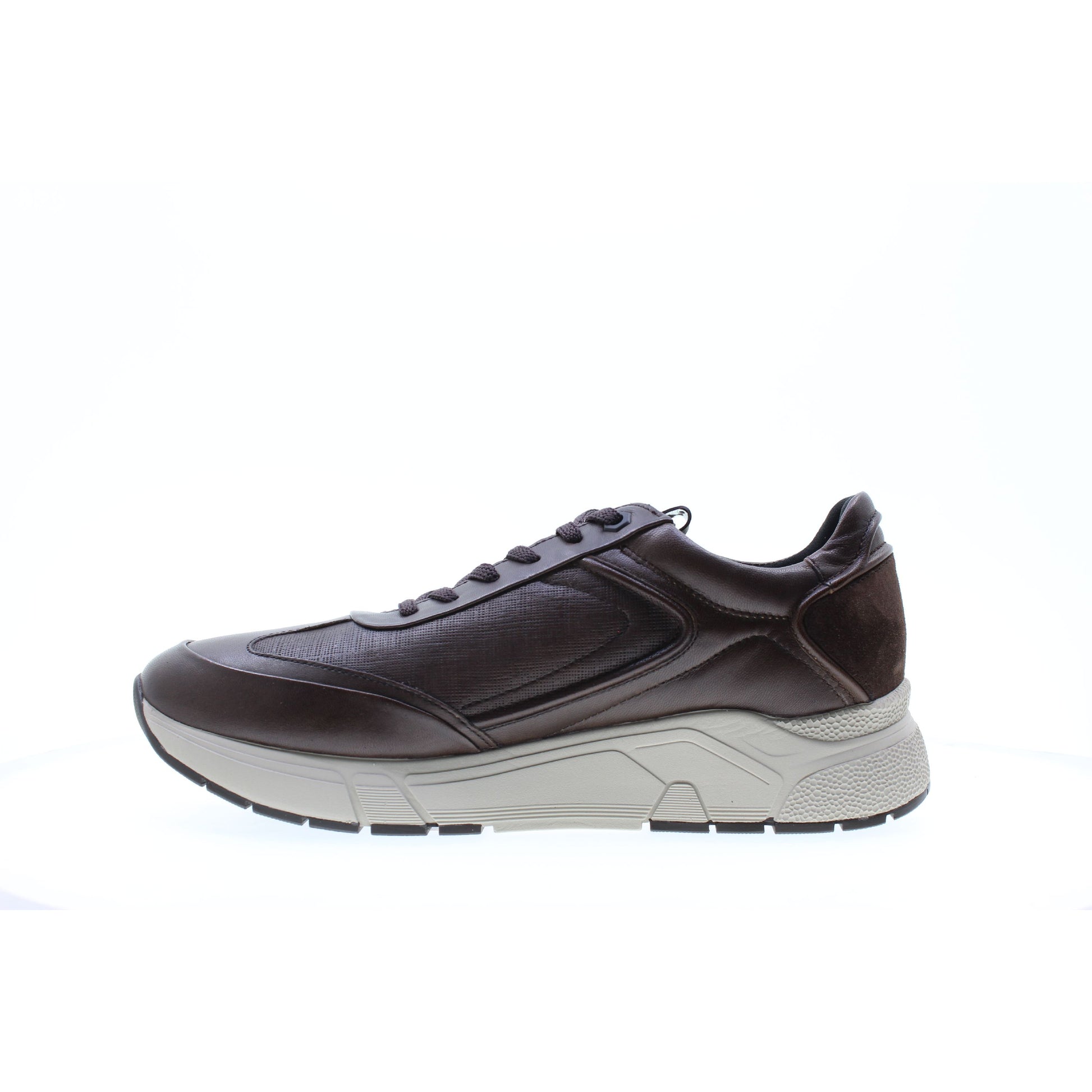 Stonefly SNEAKERS Marrone