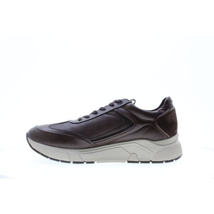 Stonefly SNEAKERS Marrone