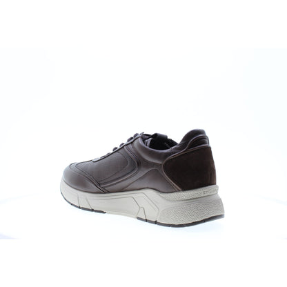 Stonefly SNEAKERS Marrone