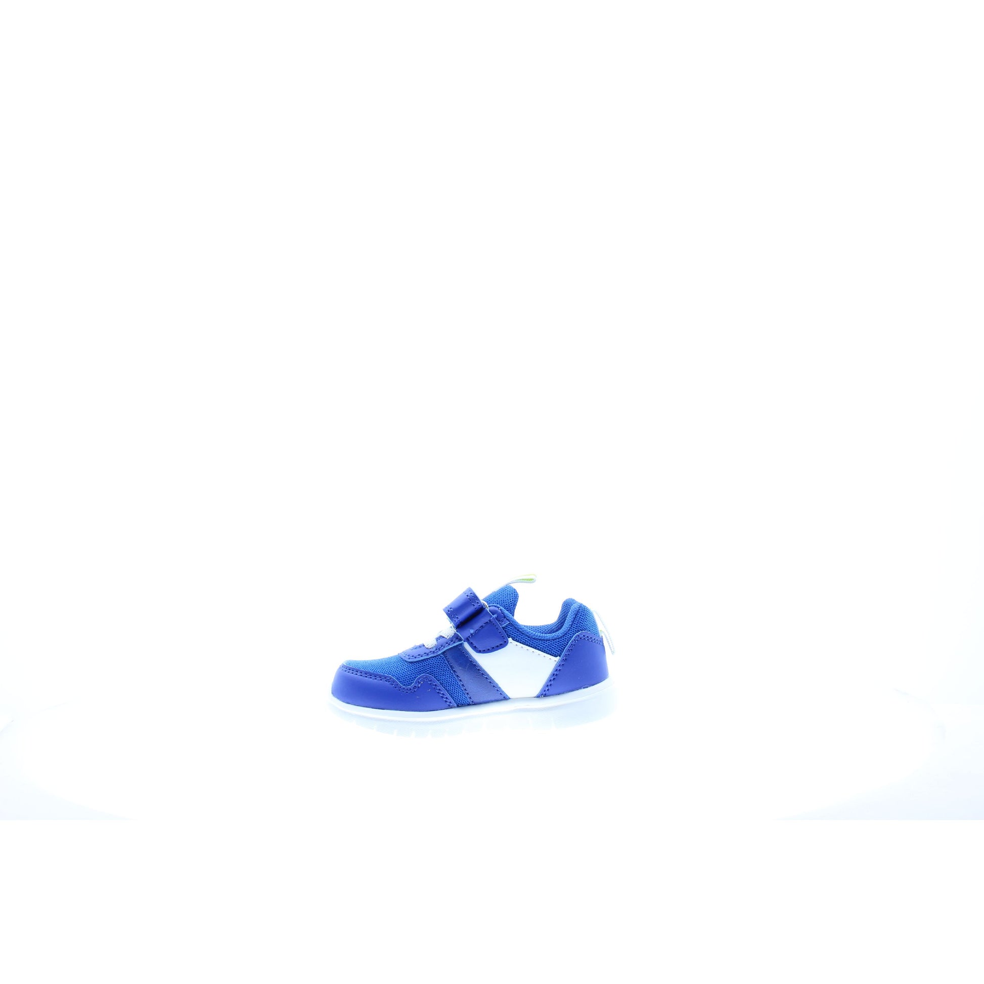 Lumberjack SCARPA ELASTICO Royal